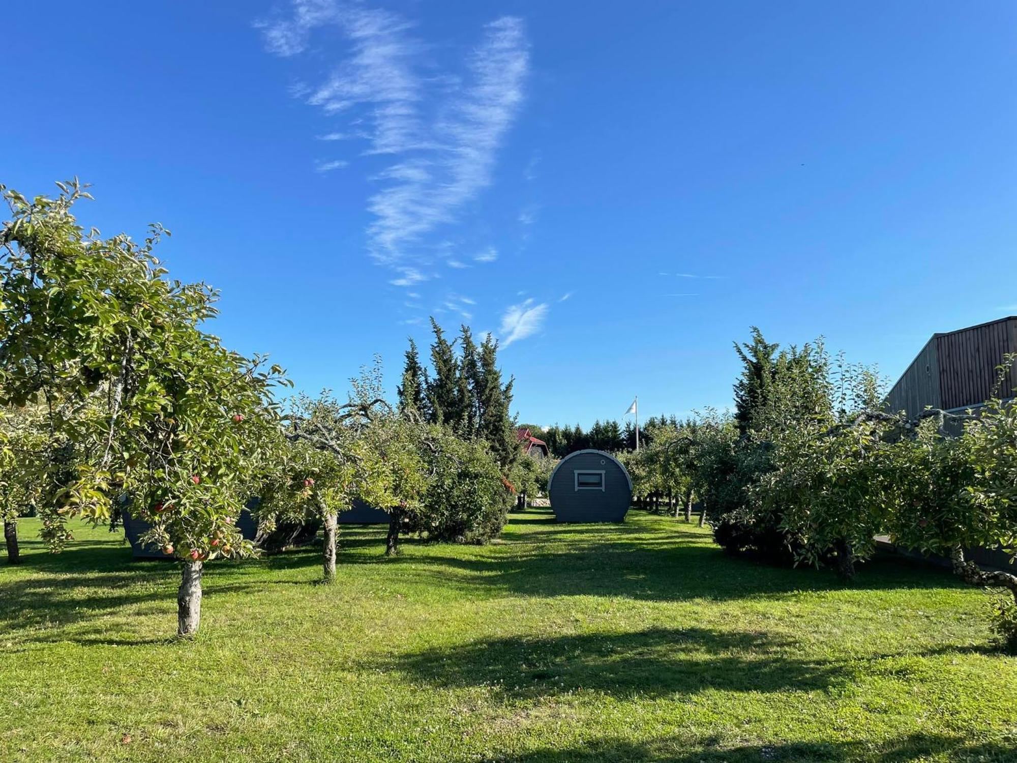 Camping Vetsi Talli Village