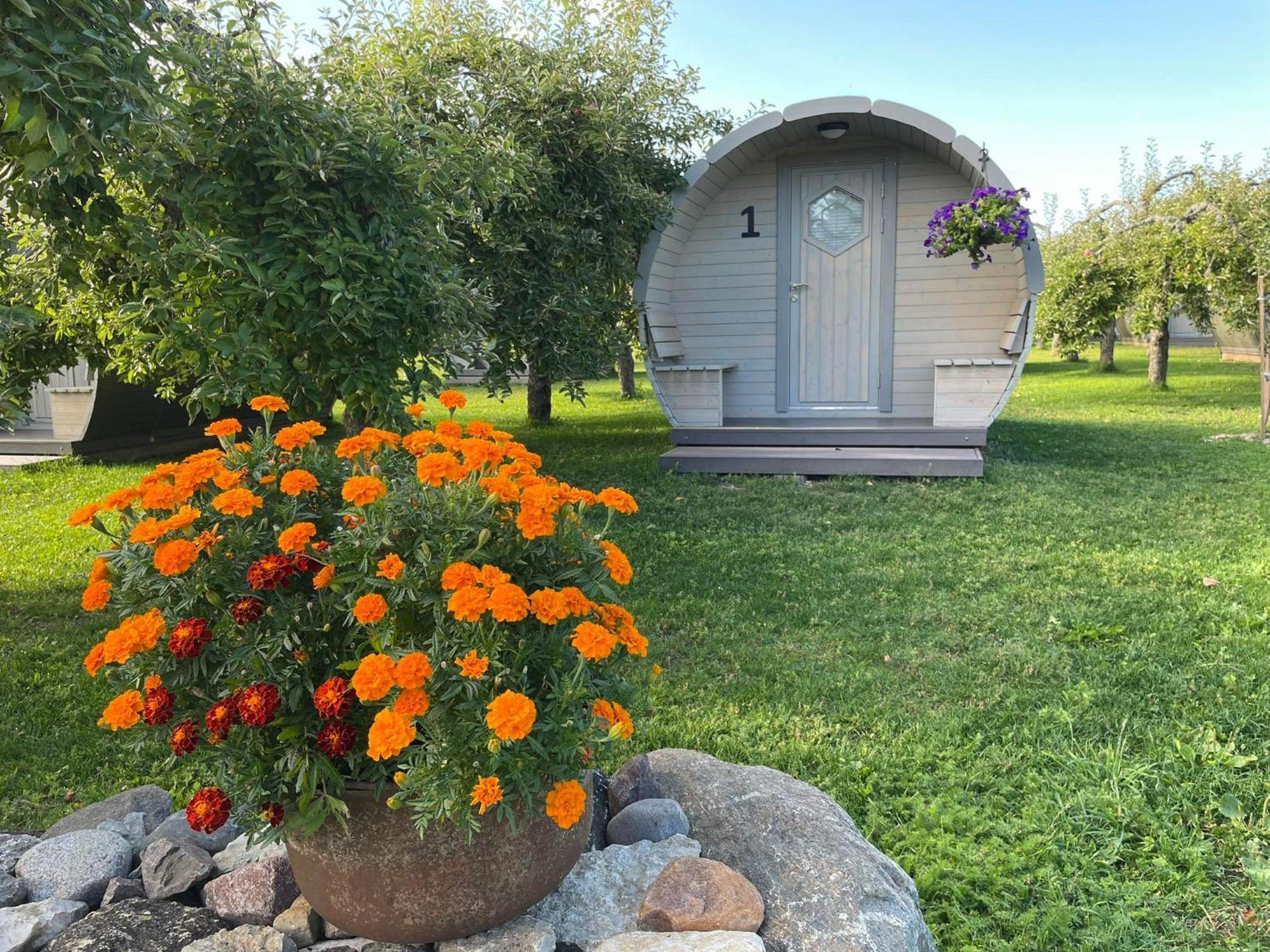Vetsi Talli Village Camping *